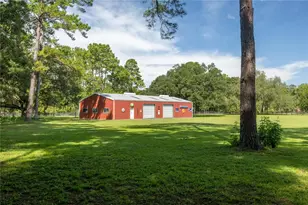 16350 NE 53rd Ln, Williston, FL 32696 - Photo 38