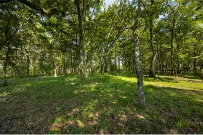 16350 NE 53rd Lane, Williston, FL 32696 - Photo 56