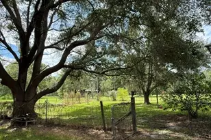 14236 SW 76th Way, Lake Butler, FL 32054 - Photo 34
