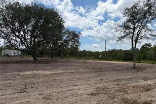Tbd NE 88th Ln, Bronson, FL 32621 - Photo 1