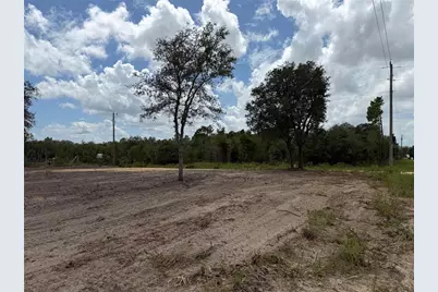 Tbd NE 88th Lane, Bronson, FL 32621 - Photo 2