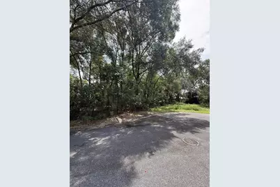 Lake Avenue, Fanning Springs, FL 32693 - Photo 8