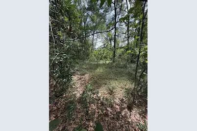 Lake Avenue, Fanning Springs, FL 32693 - Photo 6