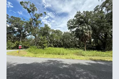 9840 Kentucky Avenue, Fanning Springs, FL 32693 - Photo 4