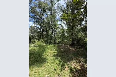 9850 Kentucky Avenue, Fanning Springs, FL 32693 - Photo 4