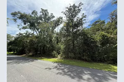 7739 Lake Avenue, Fanning Springs, FL 32693 - Photo 8
