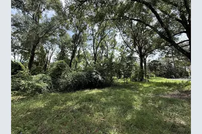 7739 Lake Avenue, Fanning Springs, FL 32693 - Photo 6