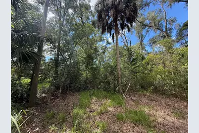 7719 Lake Avenue, Fanning Springs, FL 32693 - Photo 8