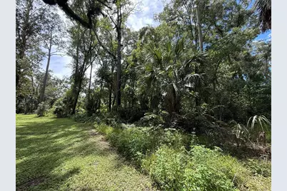 7719 Lake Avenue, Fanning Springs, FL 32693 - Photo 6