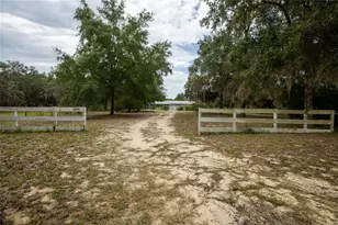6323 Payne Rd, Keystone Heights, FL 32656 - Photo 8