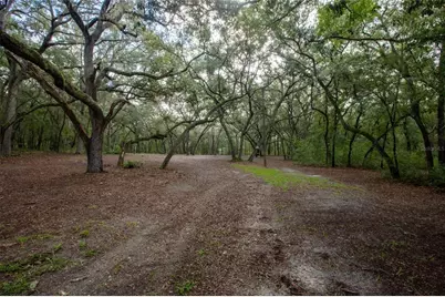 5590 Jenkins Loop Drive, Keystone Heights, FL 32656 - Photo 2