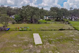 5919 White Sands Rd, Keystone Heights, FL 32656 - Photo 42
