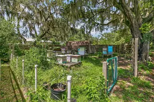 5919 White Sands Rd, Keystone Heights, FL 32656 - Photo 28