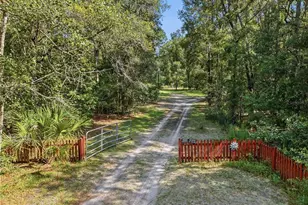 24662 NW 84th Pl, Alachua, FL 32615 - Photo 4