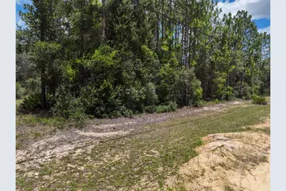 5630 Lassen Street, Keystone Heights, FL 32656 - Photo 6