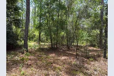 5630 Lassen Street, Keystone Heights, FL 32656 - Photo 12