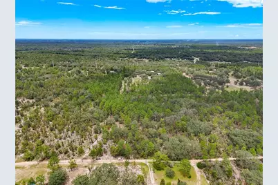 Tbd NE 56th Street, Bronson, FL 32621 - Photo 12