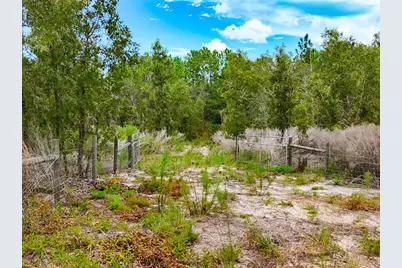 Tbd NE 56th Street, Bronson, FL 32621 - Photo 6