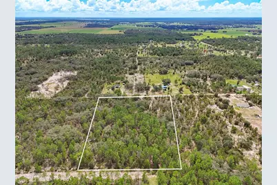 Tbd NE 56th Street, Bronson, FL 32621 - Photo 2