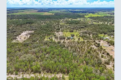 Tbd NE 56th Street, Bronson, FL 32621 - Photo 10