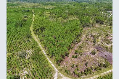 Se 51 Way, Trenton, FL 32693 - Photo 2