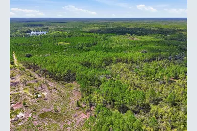 Se 51 Way, Trenton, FL 32693 - Photo 12