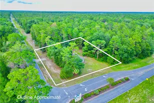 1150 Coral Farms Rd, Florahome, FL 32140 - Photo 38