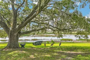 5927 White Sands Rd, Keystone Heights, FL 32656 - Photo 44