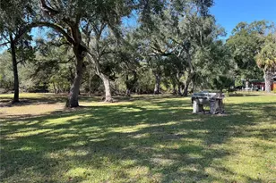 2099 SW 75th Ave, Bell, FL 32619 - Photo 12