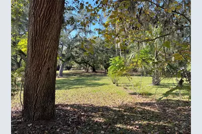 2099 SW 75th Avenue, Bell, FL 32619 - Photo 8