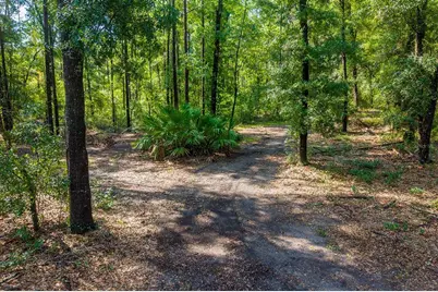 6351 NW 15th Street, Bell, FL 32619 - Photo 10