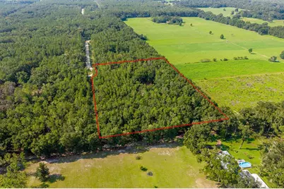 6351 NW 15th Street, Bell, FL 32619 - Photo 6
