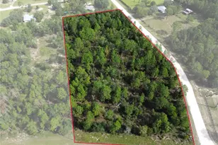 Tbd NE 132nd Ct, Williston, FL 32696 - Photo 1