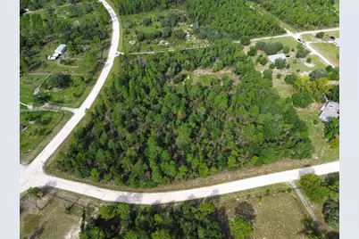 Tbd NE 132nd Court, Williston, FL 32696 - Photo 4