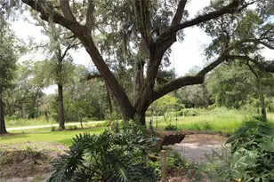6617 Virginia Beach Ln, Keystone Heights, FL 32656 - Photo 10