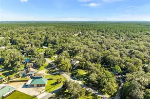 377 SE 4th Ave, Melrose, FL 32666 - Photo 34