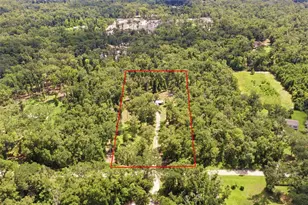 1171 NE 575th St, Old Town, FL 32680 - Photo 28