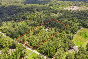 1171 NE 575th St, Old Town, FL 32680 - Photo 32