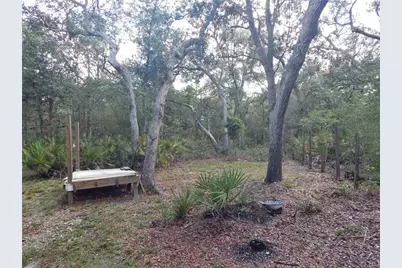 1252 NW 78th Avenue, Bell, FL 32619 - Photo 24