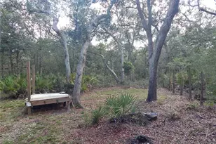 1252 NW 78th Ave, Bell, FL 32619 - Photo 24