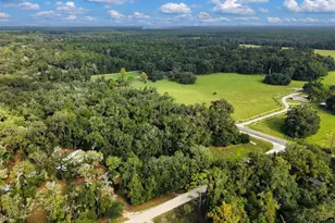 445 NE 649th St, Old Town, FL 32680 - Photo 30