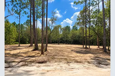 Tbd NE 88th Lane, Bronson, FL 32621 - Photo 2
