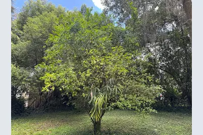 Tbd Avenue H, Mc Intosh, FL 32664 - Photo 12