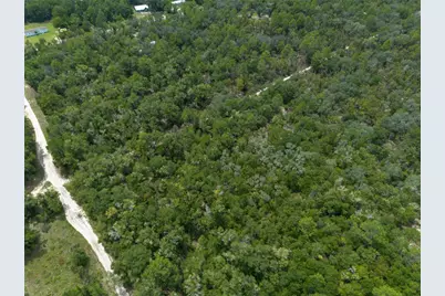 0 NE 81st Street, Bronson, FL 32621 - Photo 10