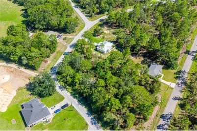 Tbd NE 151 , Lot 1 Terrace, Williston, FL 32696 - Photo 4