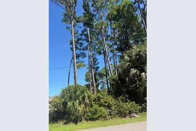 55 Ryecliffe Drive, Palm Coast, FL 32164 - Photo 6