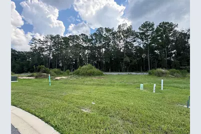 1099 SW 147th Terrace, Newberry, FL 32669 - Photo 6
