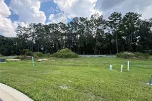1099 SW 147th Terrace, Newberry, FL 32669 - Photo 6