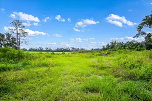 243 SW Reigel Ct, Lake City, FL 32024 - Photo 4