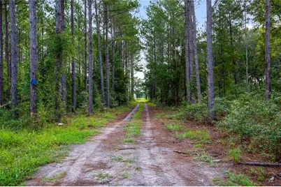 243 SW Reigel Court, Lake City, FL 32024 - Photo 8